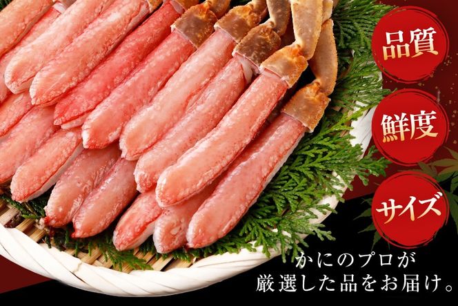 生本ずわいがに 棒肉 ポーション 20〜30本入 総重量 約500g [カネダイ 宮城県 気仙沼市 20564322] むき身 カニ かに 生 ずわいがに ズワイガニ ずわい蟹 ズワイ蟹 蟹 カニ カニ脚 蟹脚 カニ棒肉 カニ 蟹
