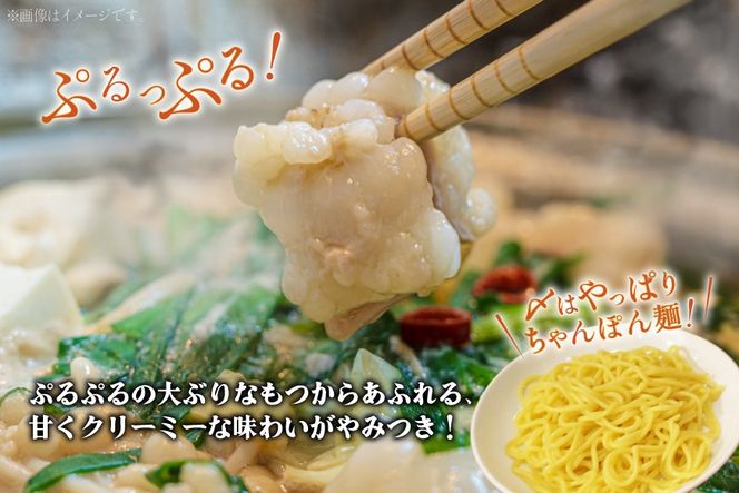 もつ鍋 博多もつ鍋やまや もつ鍋セット あごだし醤油味 5～6人前 ちゃんぽん麺 薬味付 [やまやコミュニケーションズ 福岡県 宇美町 um40azo860004] もつ鍋セット モツ鍋 国産 牛モツ 牛ホルモン