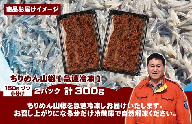 G2908 【お試し】ちりめん山椒しらす 300g【小分け 150g×2P シラス しらす sirasu 海鮮 人気 おすすめ 産地直送】