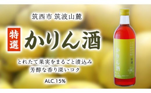 【 特選 】 かりん酒 アルコール 15％ （ 500ml × 1本 ） 果実酒 お酒 酒 かりん [DP005ci]