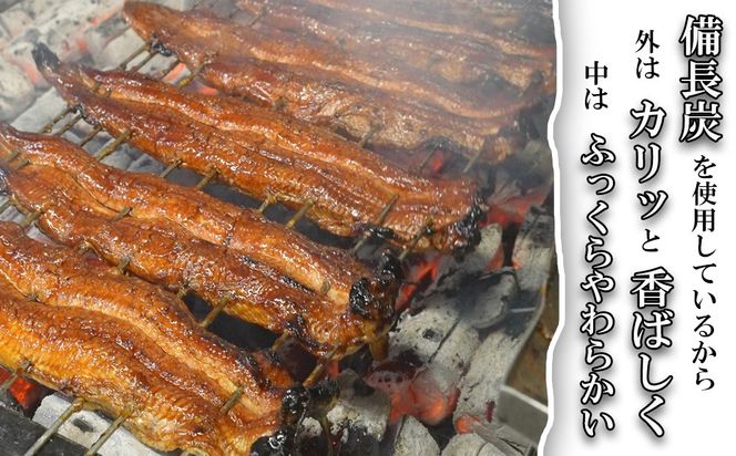 行列のできる人気店のうなぎ　うな勢食事券 5,000円分（500円×10枚）うな勢【 国産 うなぎ 鰻 ウナギ 蒲焼き 蒲焼 たれ タレ コシヒカリ 伊賀米 お食事券 ギフト券 プレゼント 三重県県 四日市市】