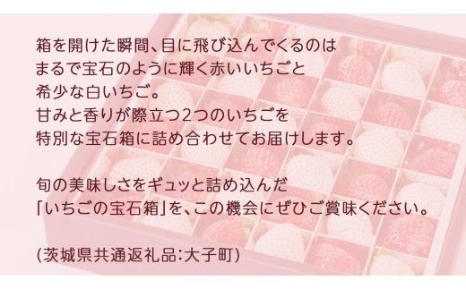 赤いちご と 白いちご の宝石箱36粒【2026年12月上旬発送開始】(茨城県共通返礼品：大子町) いちご 苺 果物 フルーツ 果実