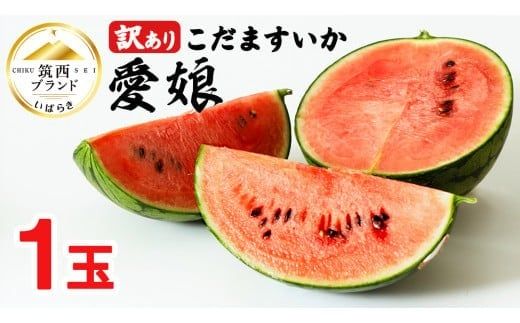 【 訳あり 】 こだますいか 「 愛娘 」 1玉 2026年産 先行予約 筑西ブランド こだまスイカ 小玉スイカ すいか スイカ フルーツ 果物 [AF083ci]
