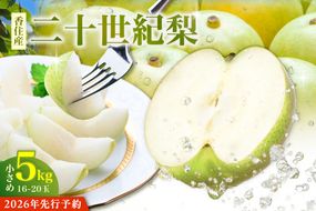 2026年産 先行予約【梨 20世紀梨 香住梨 5kg 小さめ（1玉250g～300gを16～20玉）】【令和8年8月下旬以降発送予定】二十世紀梨  小玉 シャキシャキ 甘味 瑞々しさ 香住梨 フルーツ フルーツ先行予約 果物 贈答品 ギフト なし ナシ 和梨 青梨 大人気 おすすめ ランキング 兵庫県 香美町 香住 JAたじま 16000円 12-09