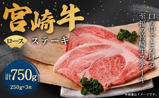 y{茧S璬z{苍[XXe[L 3iv750gjɏoׁyc1343_yaz {苍  јa [X Xe[L ɏ  {茧Y