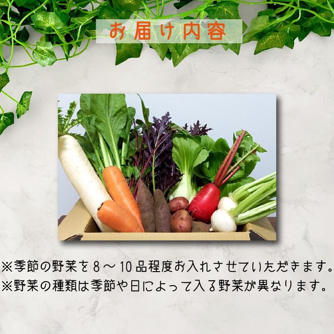 【定期便 全3回】季節の野菜詰め合わせセット（新鮮 採れたて 野菜 セット 定期便 詰め合わせ 宮崎県）
