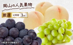 定期便 2026年 先行予約 岡山の人気果物 厳選 3回コース 桃 白桃 ぶどう ピオーネ シャインマスカット 晴王 赤磐市