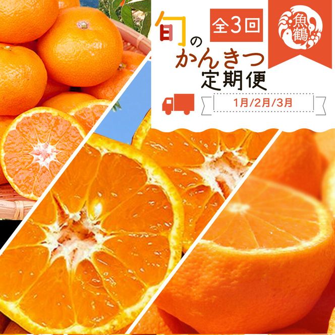 【定期便 全3回】紀州和歌山産 旬の柑橘セット（みかん・ポンカン・紀州デコ）_G60-T43