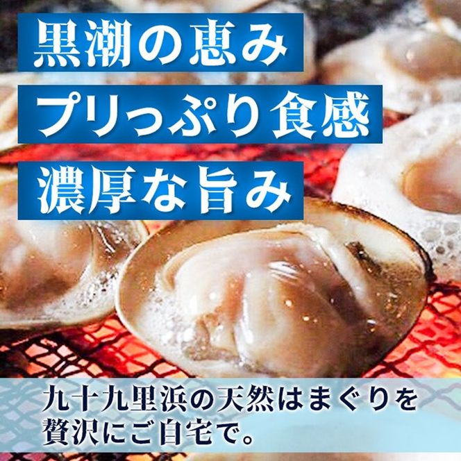 訳あり はまぐり 規格外 大はまぐり 2パック 計 800g 貝 海鮮 魚介 海の幸 ハマグリ 蛤 海産物 国産 天然 産地直送 千葉県 九十九里 九十九里浜