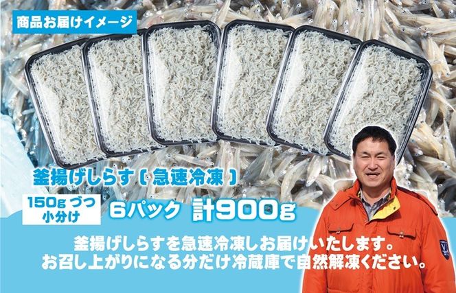 G3739 【定期便】減塩 釜揚げしらす 900g 全2回【2026年3月＆2026年6月発送 小分け 150g×6P シラス しらす sirasu 海鮮 人気 おすすめ 産地直送】