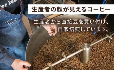 【全3回定期便】中煎り コーヒー 豆 ウニドスブレンド 250g × 2袋 ( 豆 ・ 粉 選べます ) 糸島市 / COFFEE UNIDOS [AQF021] 珈琲 カフェ コーヒー粉