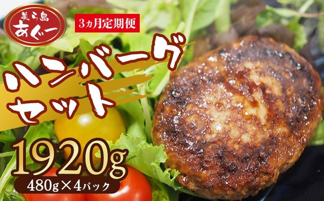 【3ヵ月定期便】【美ら島あぐー】ハンバーグ4個入り1920g（480g×4パック） 合計16個 あぐー 黄金比率 沖縄 大宜味村 豚肉 小分け 国産 おつまみ こだわり ぶた アグー 加工品 おいしい 美味しい 取り寄せ 肉 豚 冷凍 まろやか 旨味