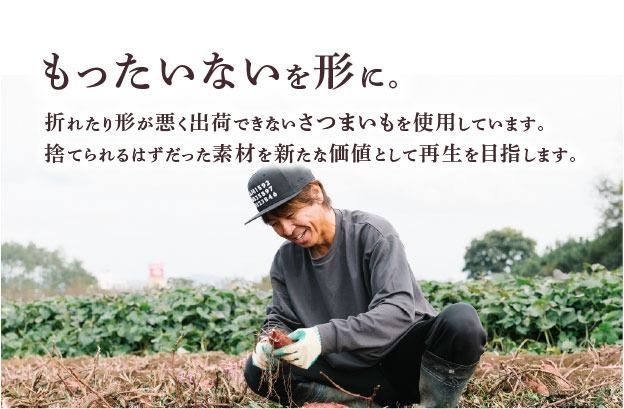 焼き芋 クロワッサン 八千代町産 紅はるか使用 さつまいも パン お菓子 スイーツ デザート 芋 いも 焼いも ふるさと納税 8000円 濃厚 [DF001ya]