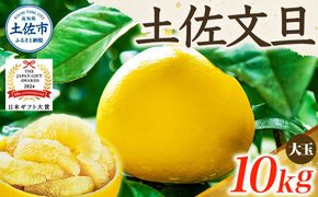 【日本ギフト大賞2024受賞】先行予約 園主こだわり土佐文旦 【大玉10kg】（3L～2L） 2027年1月下旬より順次発送 家庭用 ぶんたん ブンタン 【やの一果彩】 [BQAC003]