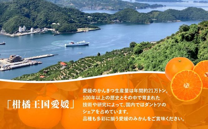 【愛媛県共通返礼品】【定期便】愛媛の柑橘定期便（全6回）（日の丸みかん・紅まどんな・いよかん・デコポン・せとか・河内晩柑） ※2026年11月～2027年4月に毎月1回発送予定 IKTAX018