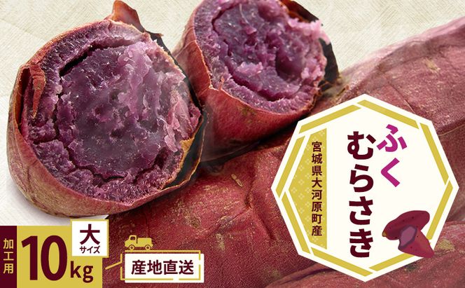 さつまいも 約10kg ふくむらさき 加工用 大きいサイズ サツマイモ 宮城県産 甘い 秋 冬 スイーツ いも 産地直送 宮城県 大河原町