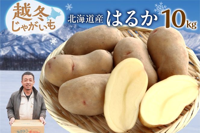 ykCz2026NstIzNzN ܁`I ቷIkCY z~Ⴊ ͂邩 10kg_S041-0010