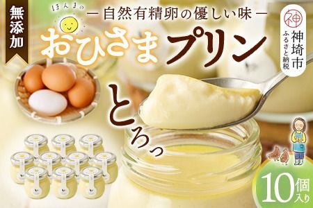 yꌧ_szЂ܃v10Zbg yXC[c  Y L ~q  v v}bvz(H073109)