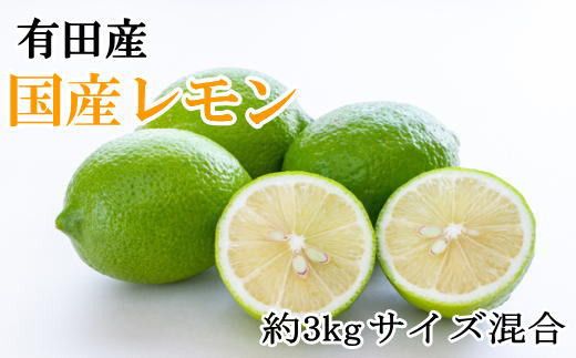 有田産の安心国産レモン約3kg （サイズ混合）※2026年10月中旬〜2027年4月中旬頃に順次発送予定（お届け日指定不可）【tec943A】