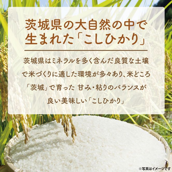 【6ヵ月定期便】＜令和8年産 ＞新米吟穂豊穣こしひかり 30kg（1袋）×6ヵ月