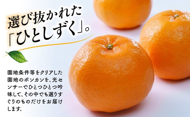 【先行予約】ポンカン「蜜る」　5㎏　（2027年1月中旬～2月中旬頃に順次発送）IKTBC014