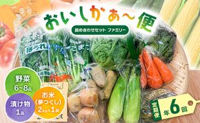 【定期便 年6回】おいしかぁ～便 詰め合わせセット 6ヶ月 お楽しみ ファミリーセット 家族用 野菜 やさい 米 新鮮 新鮮野菜 家庭用 新鮮 福岡県 大刀洗町