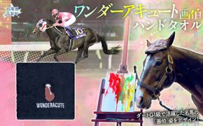 【ワンダーアキュート画伯】ハンドタオル  BRTV206