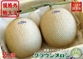 クラウンメロン　規格外特大玉（約1.7Kg～）2玉入　 果物類 メロン青肉 