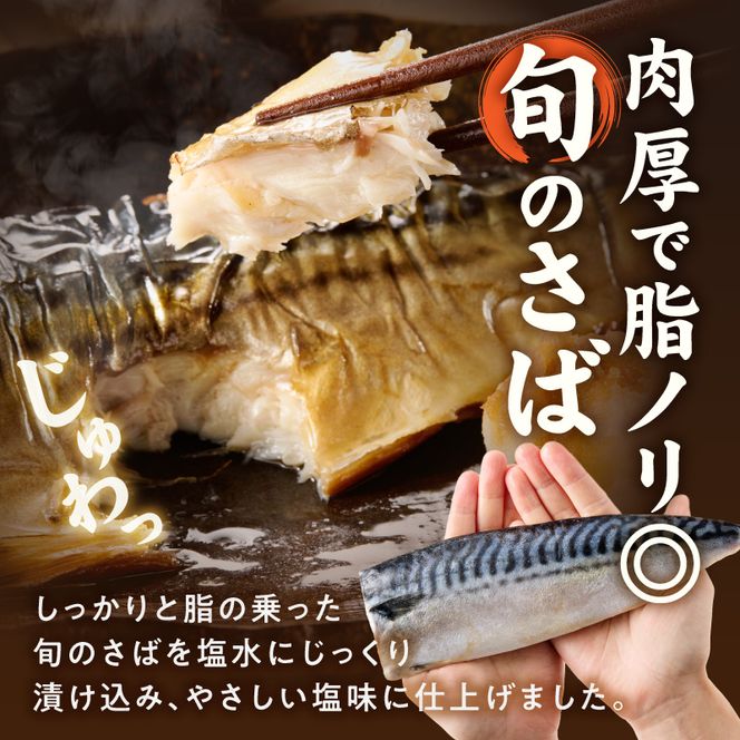 高評価 リピーター続出 塩サバフィレ 8枚 塩サバ 食べやすい 切り身 真空パック 魚 おかず 時短 肉厚 脂乗り 塩味 ジューシー 焼くだけ 簡単 ご飯のお供 焼き魚 煮魚 凍便 栄養 和歌山県 湯浅町 送料無料_G7320