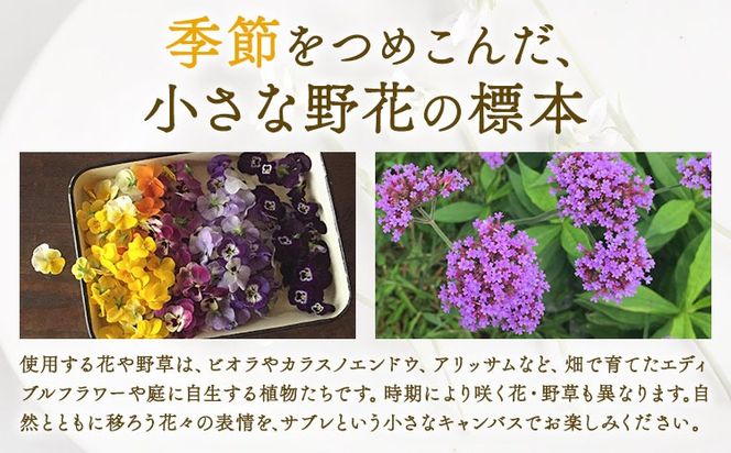 Sable Herbarium 12枚入り 料理研究舎リンネ《30日以内に出荷予定(土日祝除く)》熊本県 南阿蘇村 サブレハーバリウム サブレ グルテンフリー 米粉 エディブルフラワー カモミール クッキー 焼菓子 焼き菓子 お菓子 贈り物 プレゼント ギフト---mna_rkrsahebrm_r7_30d_8000_12p---