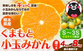 最短7日発送！ 訳あり みかん 小玉みかん くまもと小玉みかん 4kg  8kg 秋 旬 不揃い 傷 ご家庭用 SDGs 小玉 たっぷり 熊本県 産 S-3Sサイズ フルーツ 旬 柑橘 熊本県産 温州みかん《7-14日以内に出荷予定(土日祝除く)》 早く届く---gkt_mkn_24_wx_8000_4kg---