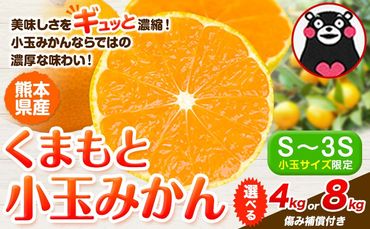 最短7日発送！ 訳あり みかん 小玉みかん くまもと小玉みかん 4kg  8kg 秋 旬 不揃い 傷 ご家庭用 SDGs 小玉 たっぷり 熊本県 産 S-3Sサイズ フルーツ 旬 柑橘 熊本県産 温州みかん《7-14日以内に出荷予定(土日祝除く)》 早く届く---gkt_mkn_24_wx_6000_4kg---