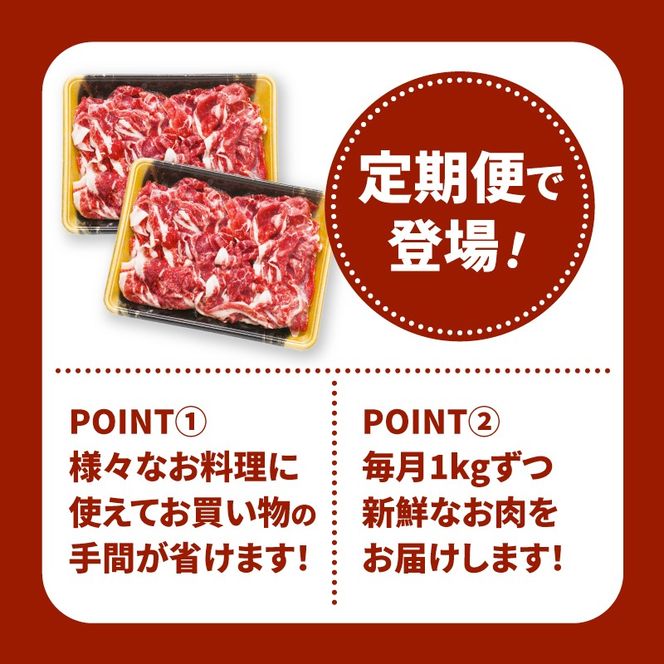 宮崎県産黒毛和牛 贅沢切り落とし1kg(500g×2)×12回定期便 K16_T016