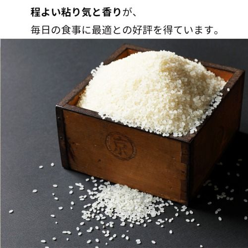 【12月末まで】令和7年産 新米 京都丹波米 きぬひかり5kg 白米 米◇◆◇ 食味鑑定士厳選 京都丹波産 ふるさと納税米 ※精米したてをお届け ※北海道・沖縄・離島への配送不可
