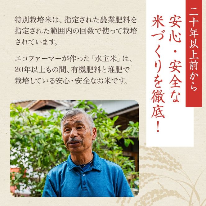 令和8年産新米エコファーマー認定農家の地域ブランド米(水主米) 玄米30kg お米 白米 ライス ご飯 ブランド米 銘柄米 お弁当 おにぎり 食卓 産地直送 主食 炭水化物 和食 国産 日本産 エコファーマー認定農家 