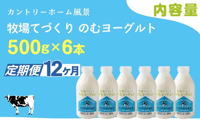 【定期12ヶ月】のむヨーグルト 500g ×6 SKB050