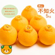【先行予約】訳あり 不知火 5kg 減農薬 サイズミックス 不揃い 愛南フルーツ 発送時期：2027年3月下旬～なくなり次第終了