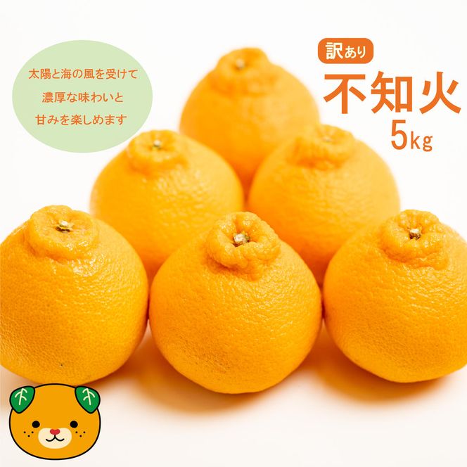 【先行予約】訳あり 不知火 5kg 減農薬 サイズミックス 不揃い 愛南フルーツ 発送時期：2027年3月下旬～なくなり次第終了