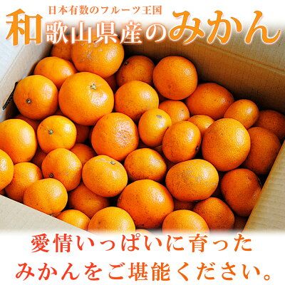 G7071_【2027年先行予約】初夏のみかん なつみ 3kg