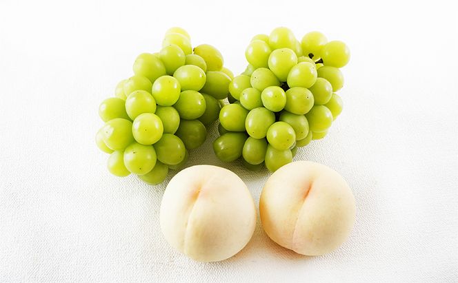 桃 ぶどう 2026年 先行予約 果物詰合せ 白桃 2玉 (1玉200g以上)  シャイン マスカット 晴王 2房 (合計約940g) 化粧箱入り 岡山県産 国産 フルーツ 果物 ギフト