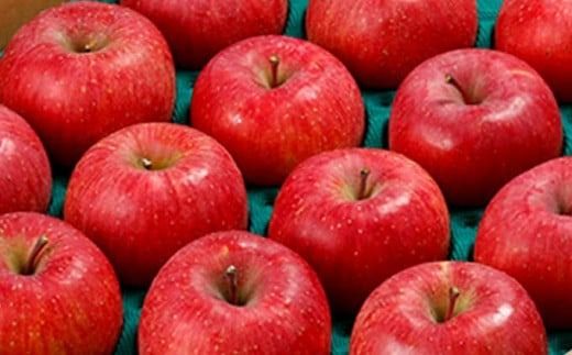 サンふじ 贈答用 約5kg 10～18玉 ［小布施屋］ りんご 林檎 リンゴ 果物 フルーツ 令和7年産【2025年11月下旬～2026年2月発送】［A-209］