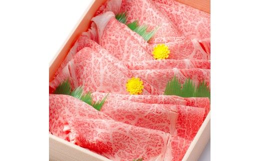 【期間限定】特選近江牛定期便（６カ月）プレミアムコース【ZZ53W】（滋賀県　近江八幡市）