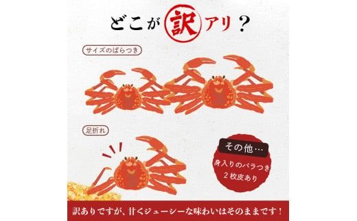 【2026年2月発送　先行予約】【訳あり】浜茹でオオズワイガニ 2kg 詰めセット 北海道噴火湾産 _HD206-001