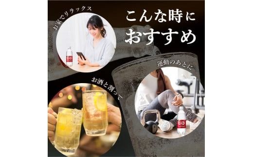 【定期便】炭酸水 ウィルキンソン タンサン PET1L(1箱 12本/2箱 24本) 【選べるお届け期間2～12ヶ月】 強炭酸水 炭酸 炭酸飲料 定期便 毎月 隔月山梨 富士吉田