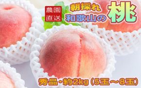 ［農園直送］朝採れ和歌山の桃　約2kg・秀品★2026年6月下旬～8月中旬頃順次発送★［TM167］ 303446_XH020