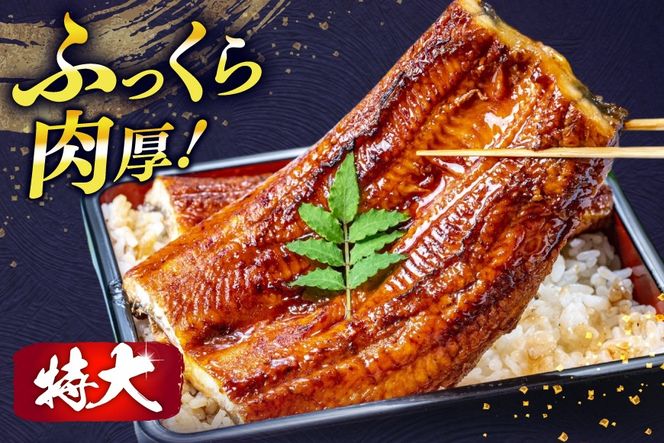 うなぎ 訳あり 鰻 蒲焼 特大 1尾 約370g 不揃い 規格外 小分け [大黒物産 福岡県 宇美町 um40bak830008] タレ 山椒付 茶葉蒸し ウナギ うなぎ蒲焼 鰻蒲焼き 蒲焼き かば焼き 真空パック 個包装 冷凍 unagi