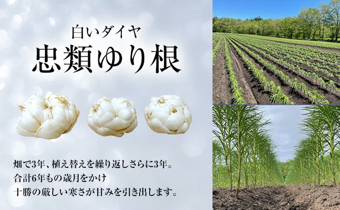2026年10月発送 先行予約 十勝「忠類ゆり根」1kg (7～12玉) M～2L［JA忠類］【 ゆり根 百合根 高級食材 お正月 贈答 ギフト 根菜 冬の味覚 北海道 幕別 】