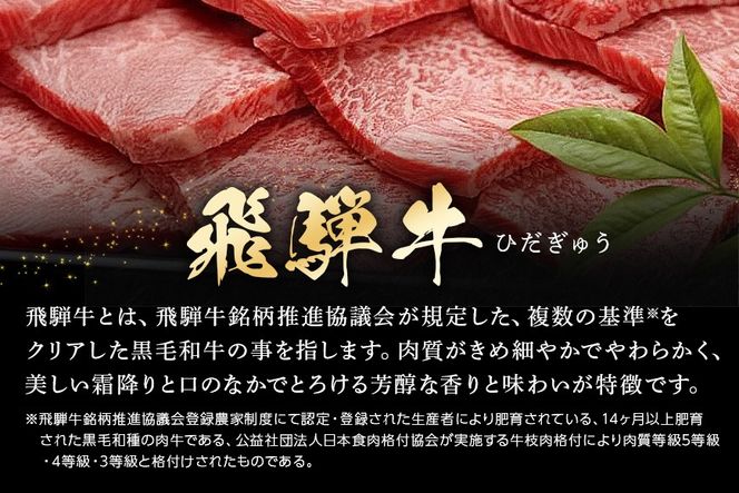 飛騨牛 A5等級 モモ 500g 焼肉用 冷蔵配送 焼肉 焼き肉 バーベキュー BBQ キャンプ アウトドア 牛肉 肉 お肉 FC-461