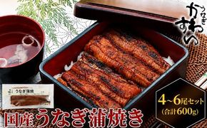 国産うなぎ  蒲焼き 4～6尾セット(合計600g) タレ付き 国産 うなぎ ウナギ 鰻 蒲焼 かば焼き セット 惣菜 冷凍 土用