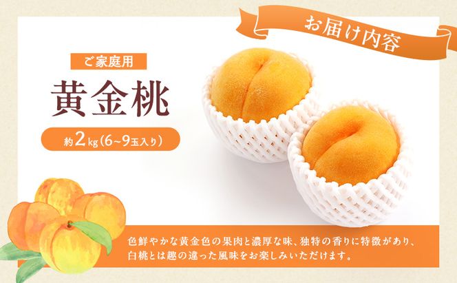 桃 2027年 先行予約 岡山 黄金桃 ご家庭用 約2kg 6～9玉入り もも モモ 岡山県産 国産 フルーツ 果物 直送！せとうちバスケット スイーツ こだわり 特産品 白い 香り 果汁 シーズン 濃厚